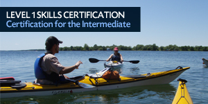 Level 1 Skills Certification. Certification for the Intermediate